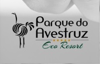 cliente15